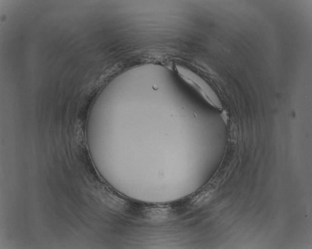 X0000073420318200608251556