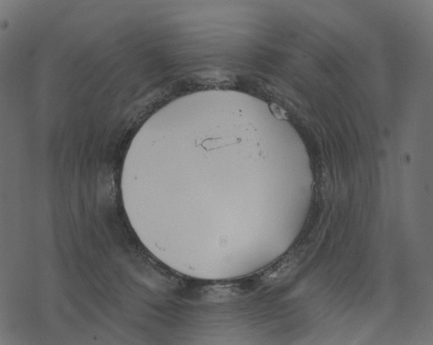 X0000073420320200608251556