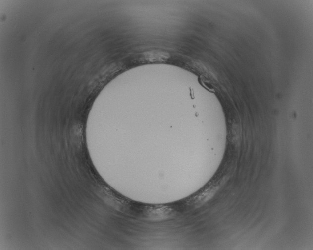 X0000073420321200608251556