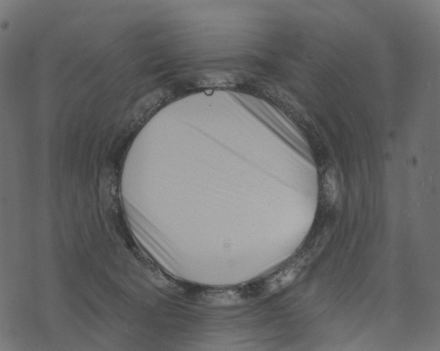 X0000073420322200608251556