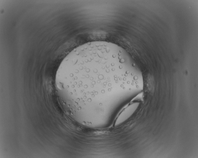 X0000073420323200608251556