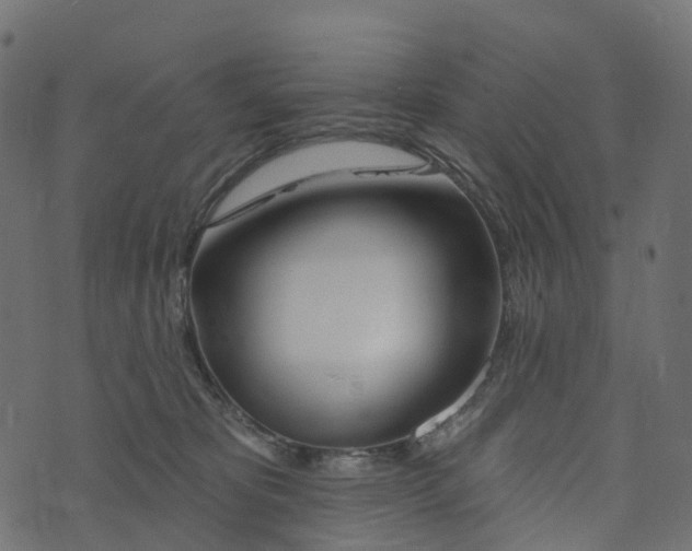 X0000073420325200608251556