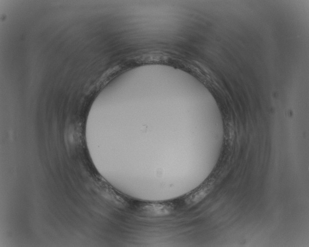 X0000073420326200608251556