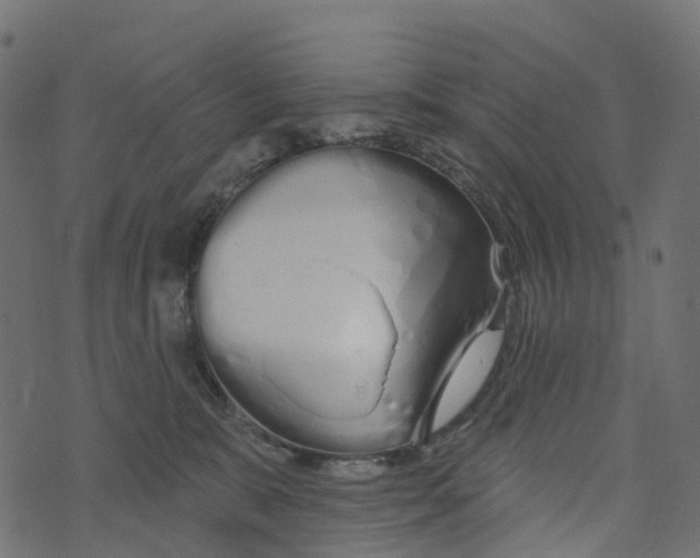 X0000073420327200608251556