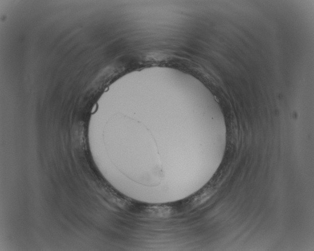 X0000073420328200608251556