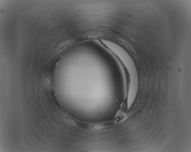 X0000073420329200608251556