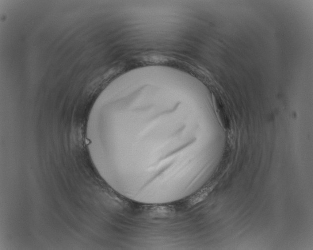 X0000073420330200608251556