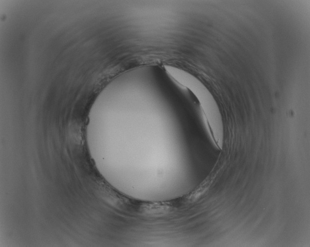 X0000073420331200608251556