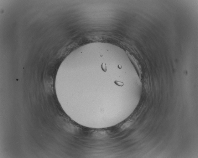 X0000073420332200608251556