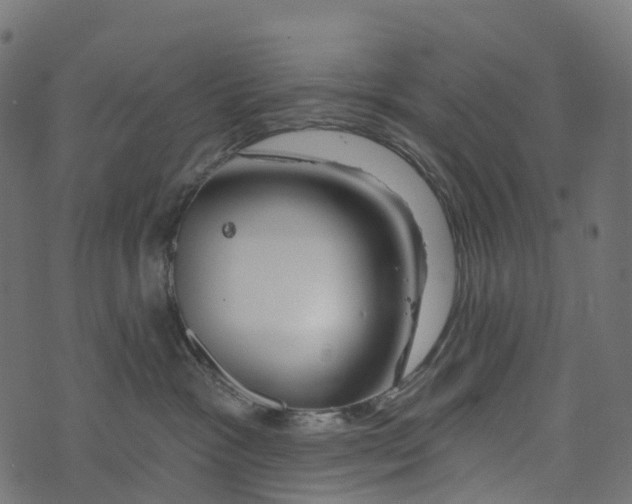 X0000073420333200608251556