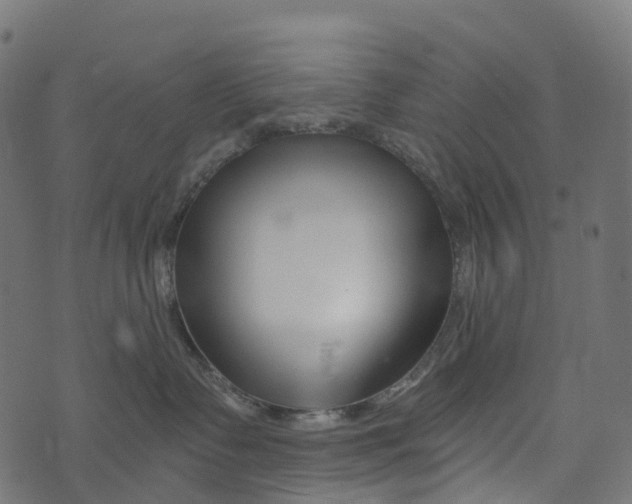 X0000073420335200608251556