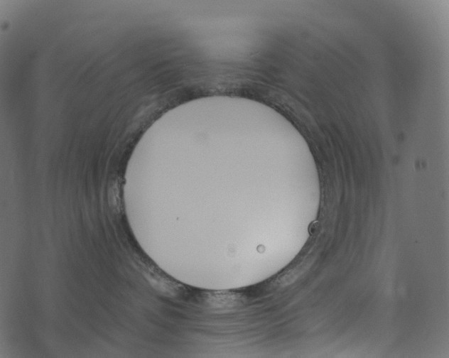 X0000073420336200608251556