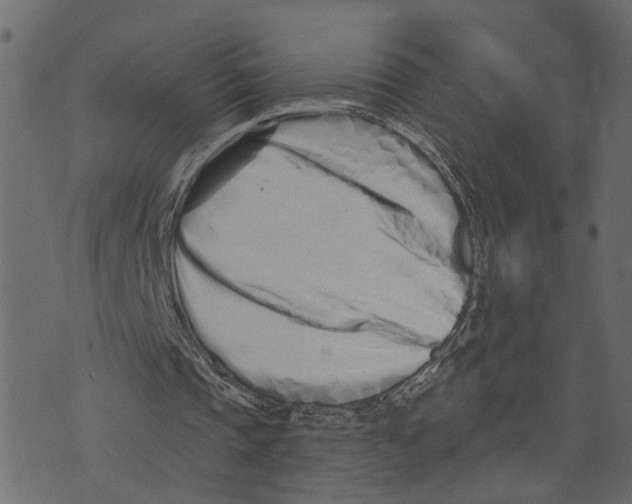 X0000073420337200608251555