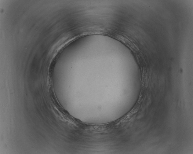 X0000073420338200608251555