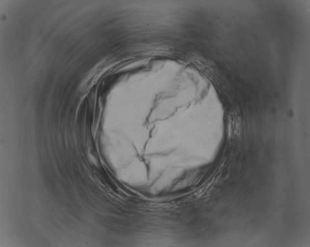 X0000073420339200608251555