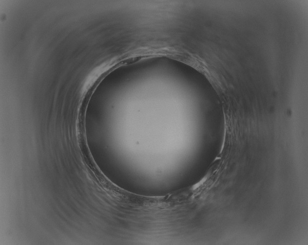 X0000073420340200608251555