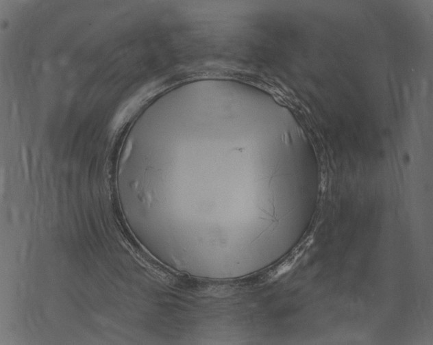 X0000073420341200608251555