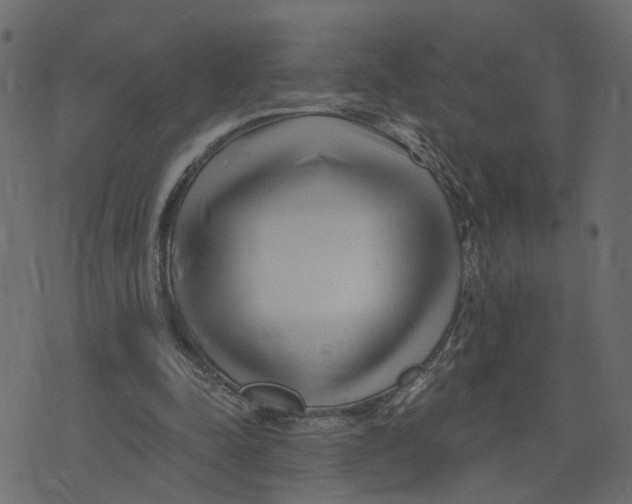 X0000073420342200608251555