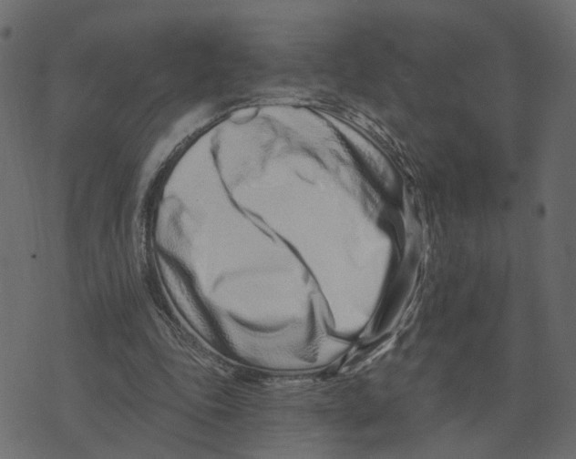 X0000073420343200608251555