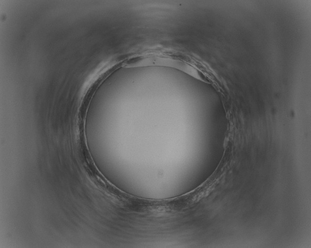 X0000073420344200608251556