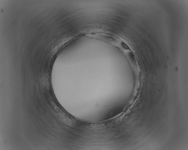 X0000073420345200608251556