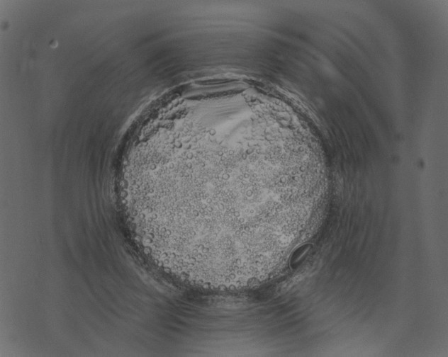 X0000073420347200608251556