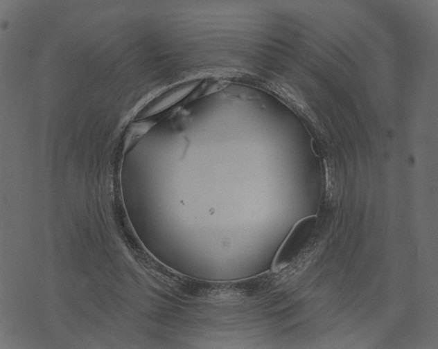 X0000073420348200608251556