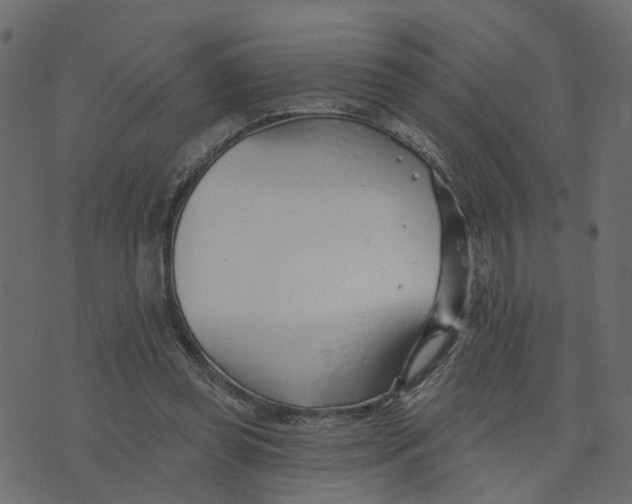 X0000073420349200608251556