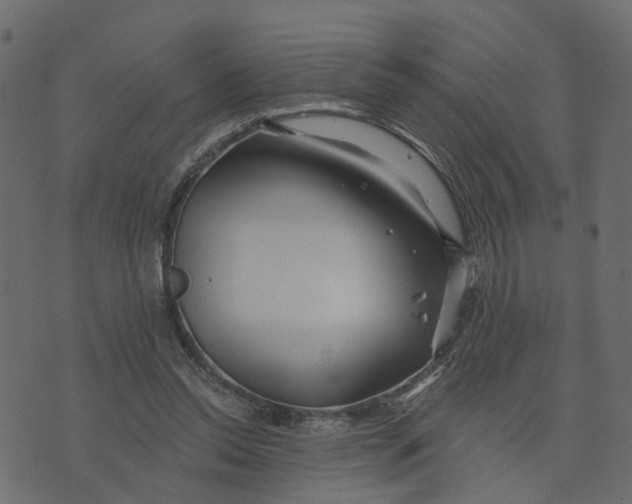 X0000073420350200608251556