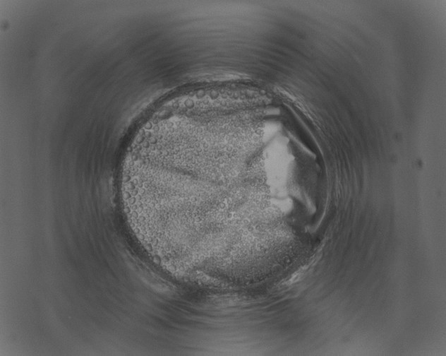 X0000073420351200608251556