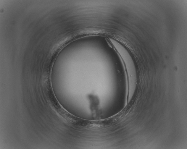 X0000073420352200608251556