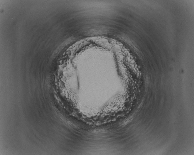 X0000073420353200608251556