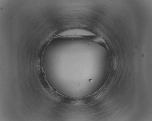 X0000073420356200608251556