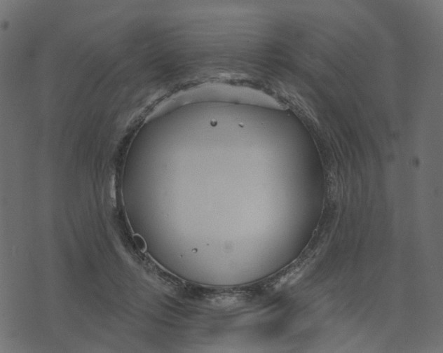 X0000073420358200608251556