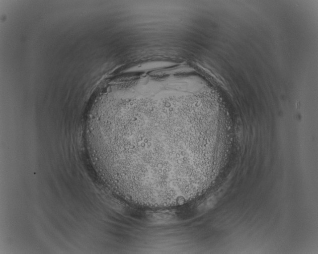 X0000073420359200608251556