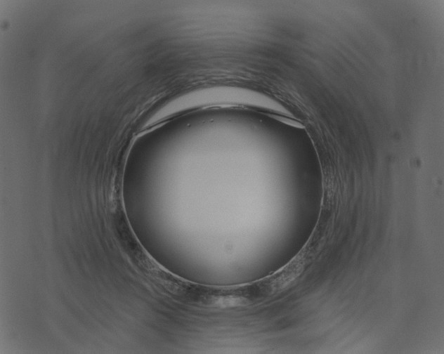 X0000073420360200608251556