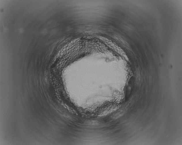 X0000073420361200608251556