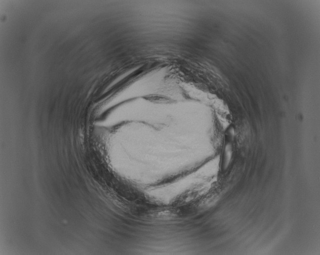 X0000073420365200608251556