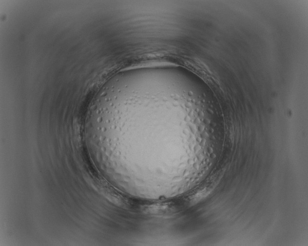 X0000073420366200608251556