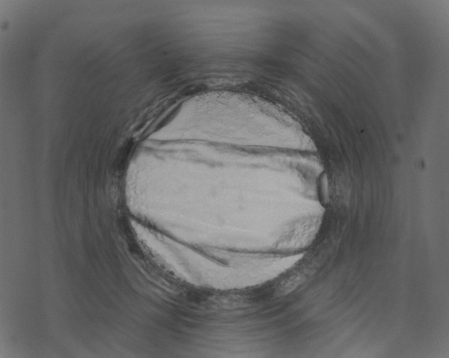 X0000073420367200608251556