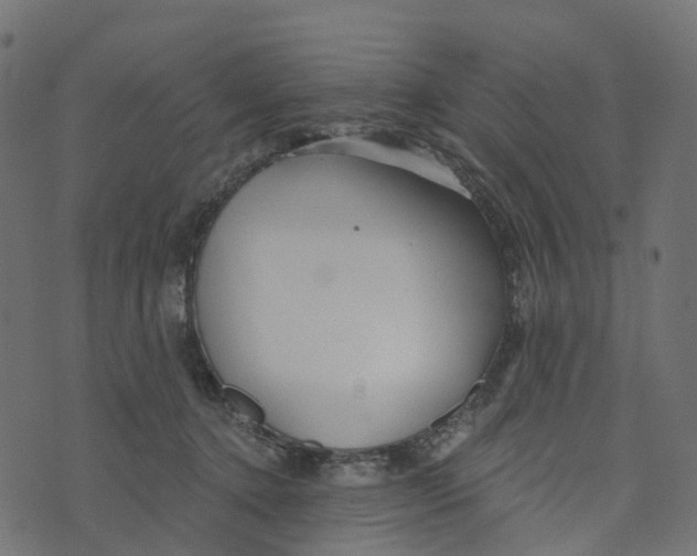 X0000073420368200608251556