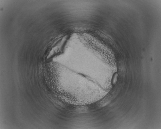 X0000073420369200608251556