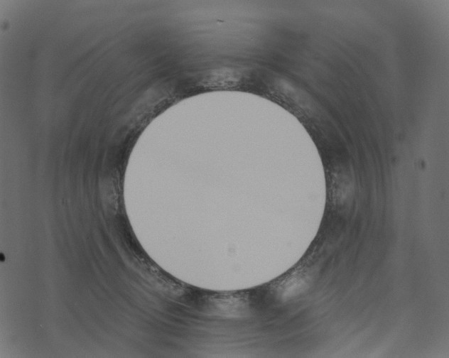 X0000073420370200608251556