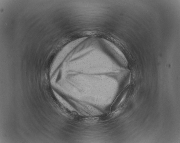 X0000073420373200608251556