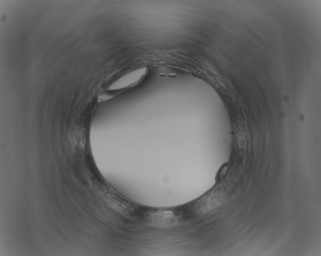 X0000073420374200608251556