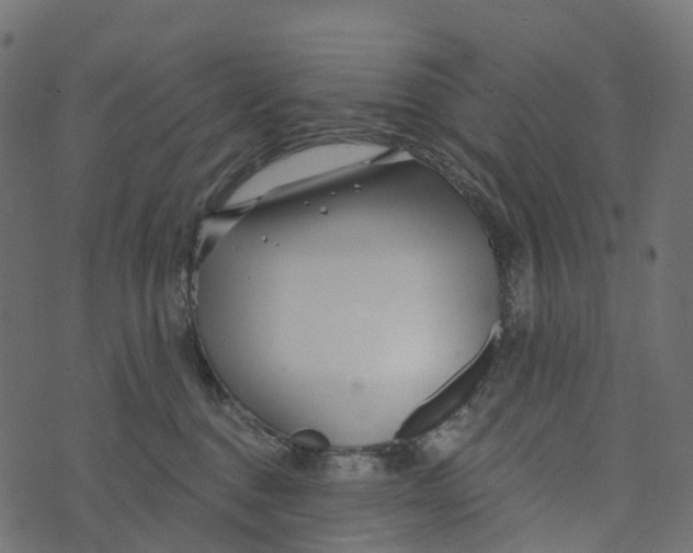 X0000073420376200608251556