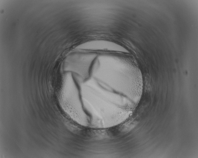 X0000073420377200608251556