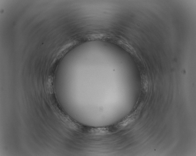 X0000073420378200608251556