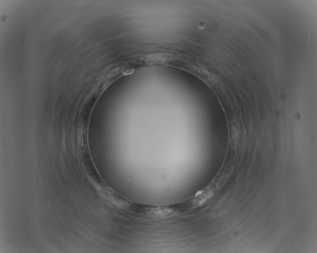 X0000073420379200608251556