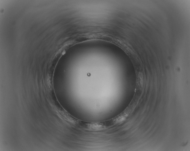 X0000073420380200608251556